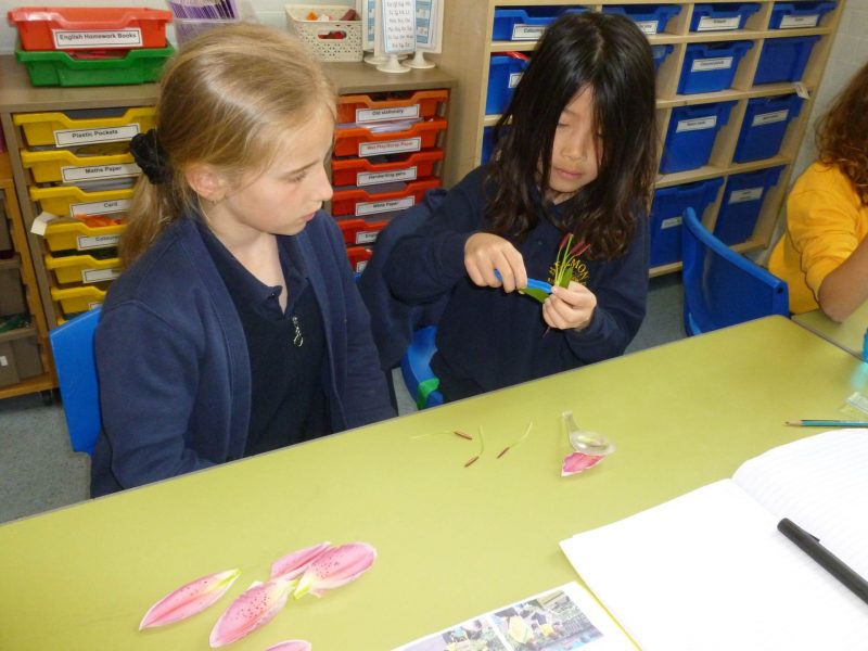Practical investigations