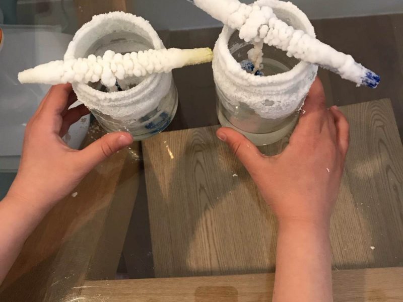 STEM Week: Do science with me