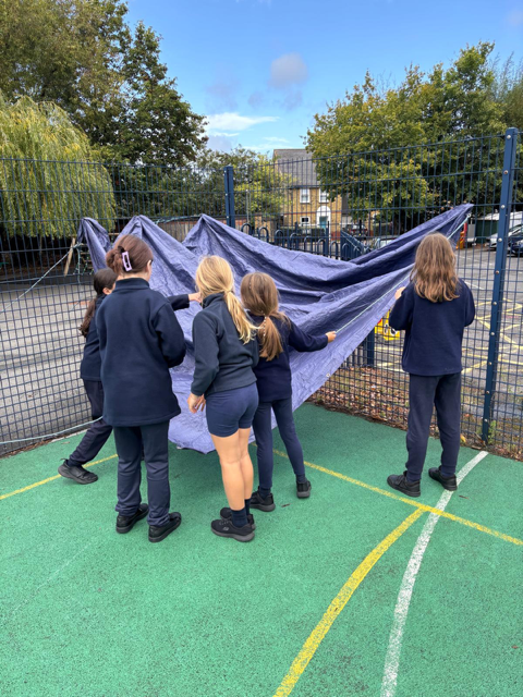Den building