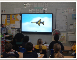 Y5 - Chestnut & Sycamore