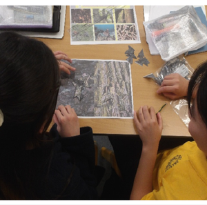 Screenshot 2026-02-16 111239