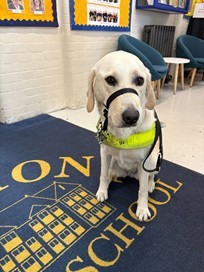 Welcome Guide Dog Lydia